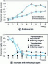 Figure 13 - Evolution of some non-volatile Sanchez cocoa compounds during fermentation and roasting (from [2]).