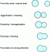 Figure 8 - Different types of fat globule associations 