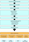Figure 1 - Functional analysis
