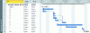 Figure 11 - Gantt chart in MS Project