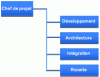 Figure 1 - Project organization chart