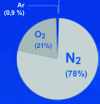 Figure 2 - Gas composition of the atmosphere