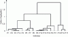 Figure 3 - Example of a dendrogram based on a population of 17 individuals for an environmental impact category and a life cycle stage.