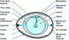 Figure 1 - Internal structure of the egg (after Lafon P. et F. [F 7 010])