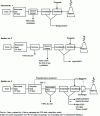 Figure 4 - Wet flue gas treatment (credit: Degrémont handbook® online)