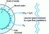 Figure 2 - Schematic representation of aerobic biodegradation of granular organic waste during composting.