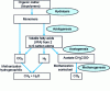 Figure 8 - Simplified representation of the anaerobic biodegradation stages of organic matter in biomass waste.