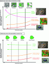 Figure 6 - Schematic summary of results obtained in several cities on the presence of breeding passerines (listening method), small mammals (non-lethal trapping) and carabid beetles (Barber* traps) along the urbanization gradient (after [33] [34]).