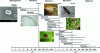 Figure 7 - Classification of the main groups of soil organisms by size (modified from Swift et al., 1979 [3])
