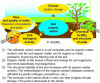Figure 1 - Main functions of soil organic matter