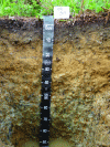 Figure 4 - Soil profile (redoxic luvisol) opened
in the forest of Rambouillet (©Lauric Cécillon)