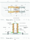 Figure 5 - a) Plan and b) cross-section of the experimental pavilion showing the three types of biodiverse wall on rue Buffon (preliminary declaration documents. ChartierDalix, 2020)
