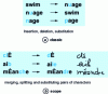 Figure 17 - Correction operation with classic (a) and extended (b) editing distances: merging, splitting and substituting character pairs