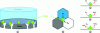 Figure 10 - Schematic representation of reaction mechanisms on a cathode