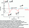 Figure 2 - Principle of force spectroscopy (adapted from [5])