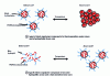 Figure 2 - Evolution of two types of micellar structures of a block copolymer containing a thermosensitive polymer segment, below and above the lower critical solution temperature (LCST, see § )
