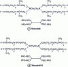 Figure 7 - Structure of PPO-PEO block copolymers for drug delivery