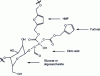 Figure 7 - Example of the bonds that can form when sucrose reacts with citric acid under certain conditions (not all of them will occur if the conditions are different).