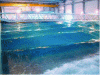 Figure 17 - Wave basin at École Centrale de Nantes