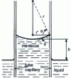 Figure 11 - Capillary ascent 