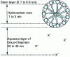 Figure 8 - Direct ionic micelle (Hartley model)