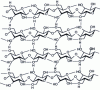Figure 1 - Hydrogen interactions in cellulose