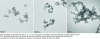 Figure 9 - Transmission electron microscopy images of Wacker's HDK H30 fumed silica at various magnifications