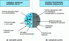 Figure 13 - Block diagram of matrix encapsulation systems