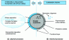 Figure 14 - Schematic diagram of core-shell encapsulation systems