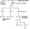 Figure 4 - Examples of reactions involving nitrogen oxides [49]