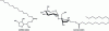 Figure 4 - Chemical structure of surfactants that form oil foams: sorbitan ester surfactants (SPANs) and sucrose esters. Sucrose stearate is shown here as an example, along with SPAN 60