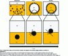 Figure 6 - Illustration of the effect of particle contact angle on the formation of a dispersion, an oil foam, or a powder