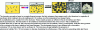 Figure 7 - Illustration of the stabilization of oil foams by fat crystals