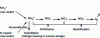 Figure 2 - The different stages in the metabolization of nitrogen pollution