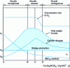 Figure 4 - Time-dependent changes in biomass and organic pollution