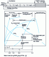 Figure 8 - Different stages in the aerobic mechanism of urban wastewater treatment