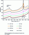 Figure 4 - Evolution of the FTIR spectrum of MOR in contact with ozone at 298 K