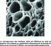Figure 13 - Activated carbon microstructure (doc. Jacobi Carbons France SASU)