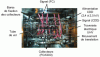 Figure 4 - Installation of five collectors (FC-CDD) inside a GV Instrument mass spectrometer (Thermo Fisher Scientific)