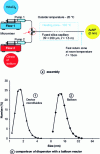 Figure 12 - Schematic diagram of the 2 nm gold nanoparticle synthesis set-up described by Penhoat and Girardon.