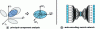 Figure 3 - A schematic representation of the coordinate transformation applied to a dataset during: (a) principal component analysis and (b) the topology of an autoencoder neural network