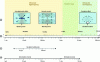 Figure 17 - Representation of the key concepts behind ultrasonic continuous flow reactors (taken from [61])