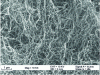 Figure 4 - Carbon nanotubes for supercapacitors