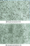 Figure 6 - Udimet 720 superalloy: fine-grain and coarse-grain heat treatments