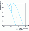 Figure 35 - Calculation of the Lehrer diagram in the Fe–N system using Thermo-Calc software – SSOL2)