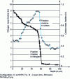 Figure 42 - Mass fraction profiles of carbon and nitrogen in the ε layer