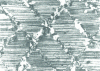 Figure 5 - Recrystallization from shear bands in CuSn7P bronze annealed for 1 h at 300°C after heavy reduction (doc. Tréfimétaux)