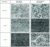 Figure 7 - Effects of current density on the morphology of Zn-Ni coatings developed in acidic and basic media (from [114])