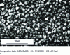Figure 12 - Micrograph of a copper-on-copper coating (current density 0.05 A.dm-2)