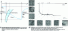 Figure 11 - Evolution of the potential of an electrode subjected to an intentiostatic pulse in relation to the influence of pulse duration on the morphology of a pulsed-current deposit [13]